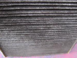 IMG_9800